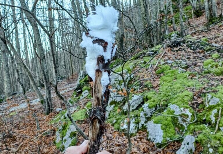 Rischia di chiudere lo storico Rifugio Del Freo a Mosceta